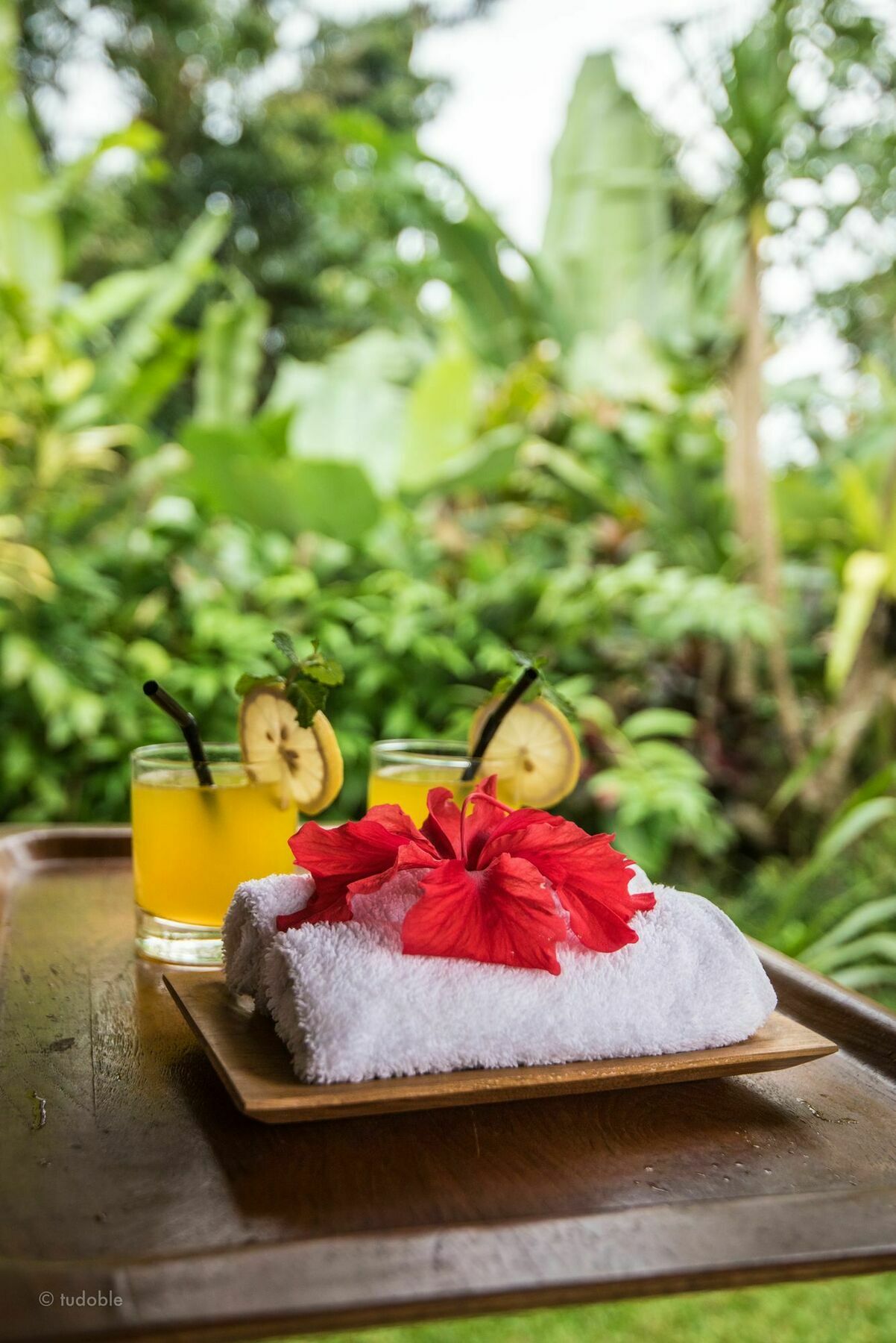Bunut Garden Luxury Private Villa Ubud  Exterior photo